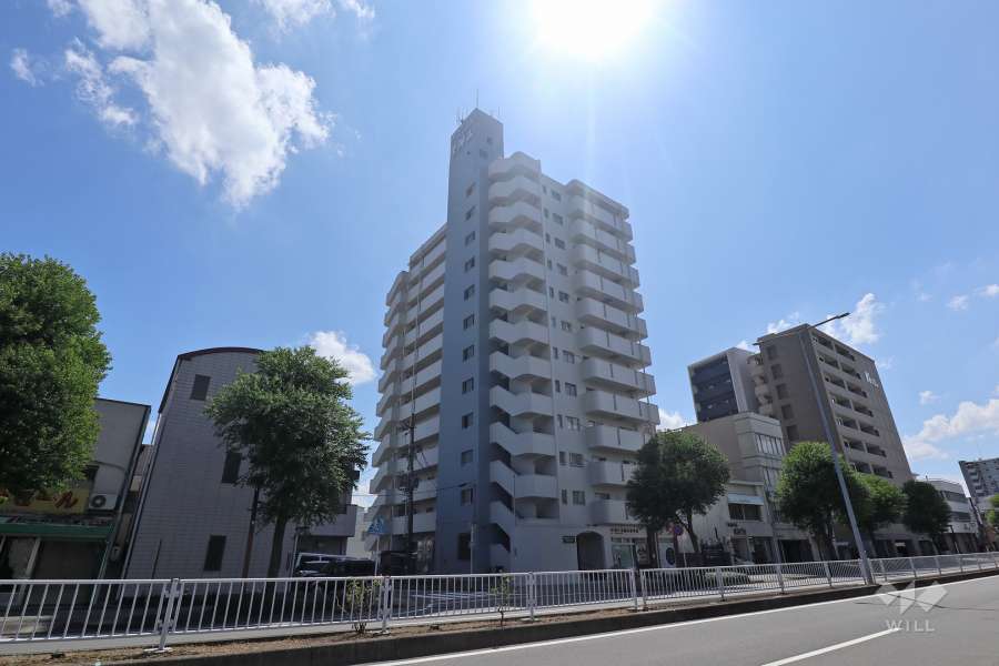 ホワイトキャッスル天神山の外観（北西側から）