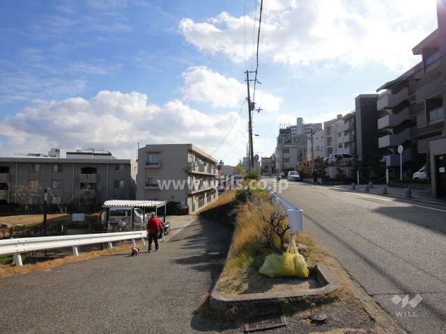 敷地南西側の前面道路。敷地より一段高くなっています。