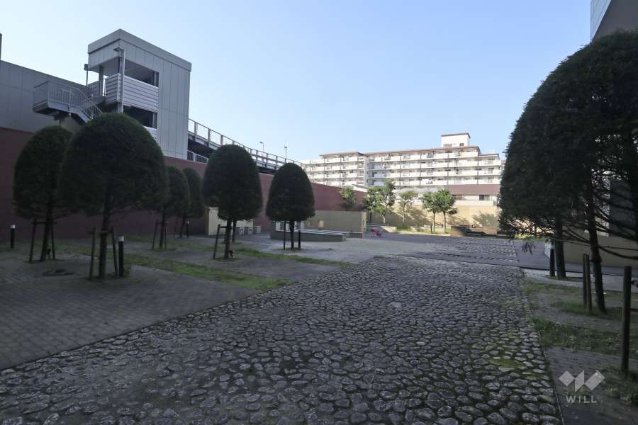 中庭