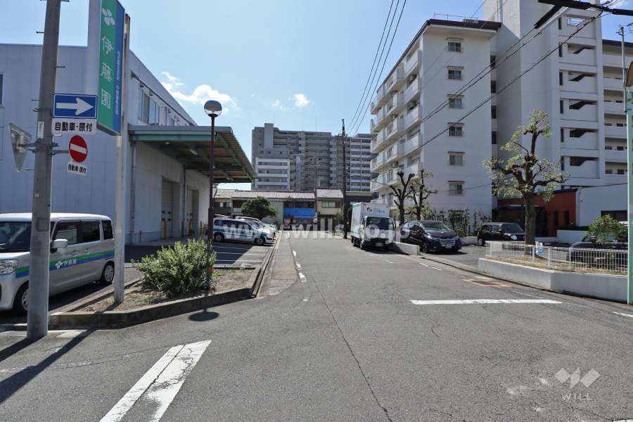 敷地東側の前面道路（北側から）