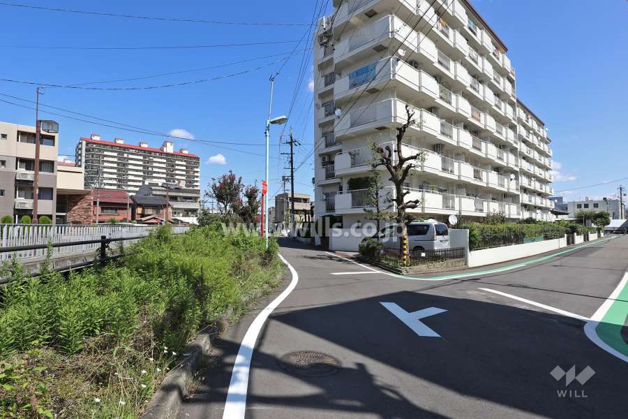 敷地北西側の前面道路（南西側から）