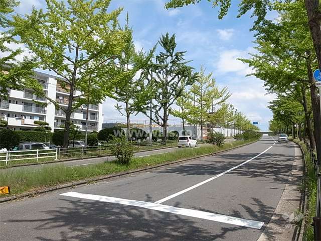 敷地の南側は街路樹がきれいなバス通りに面しています。