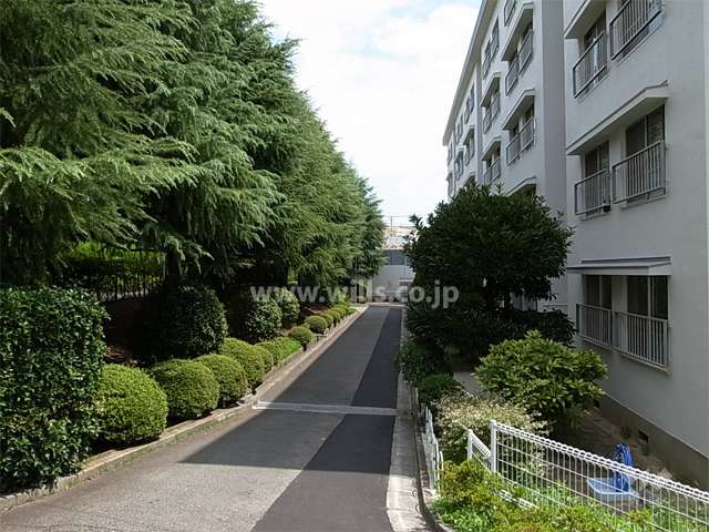 A-2棟北側の通路。敷地内は植栽スペースが多く、緑豊かです。