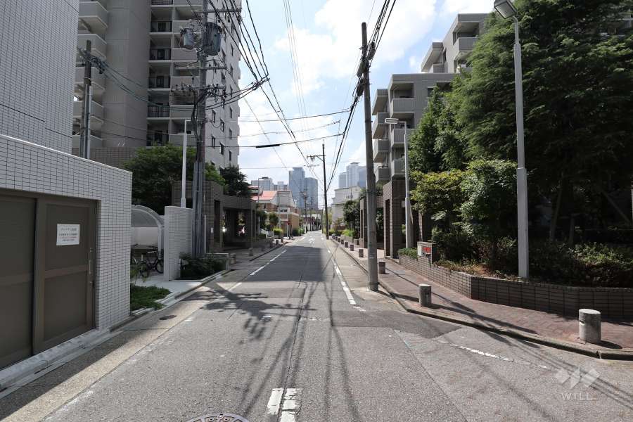 敷地東側の前面道路