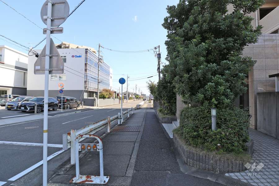 敷地北側の前面道路