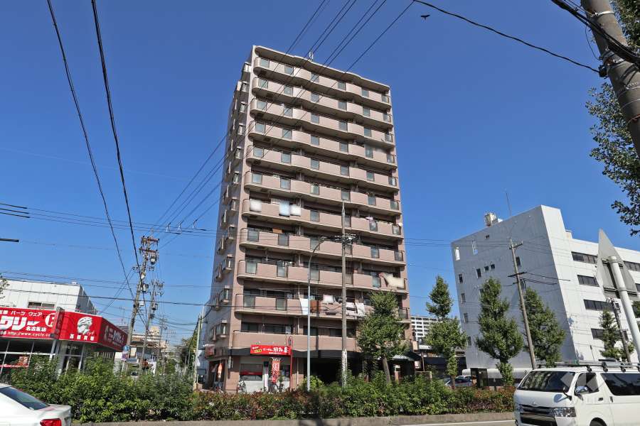 ダイアパレス康生通の外観（南側から）