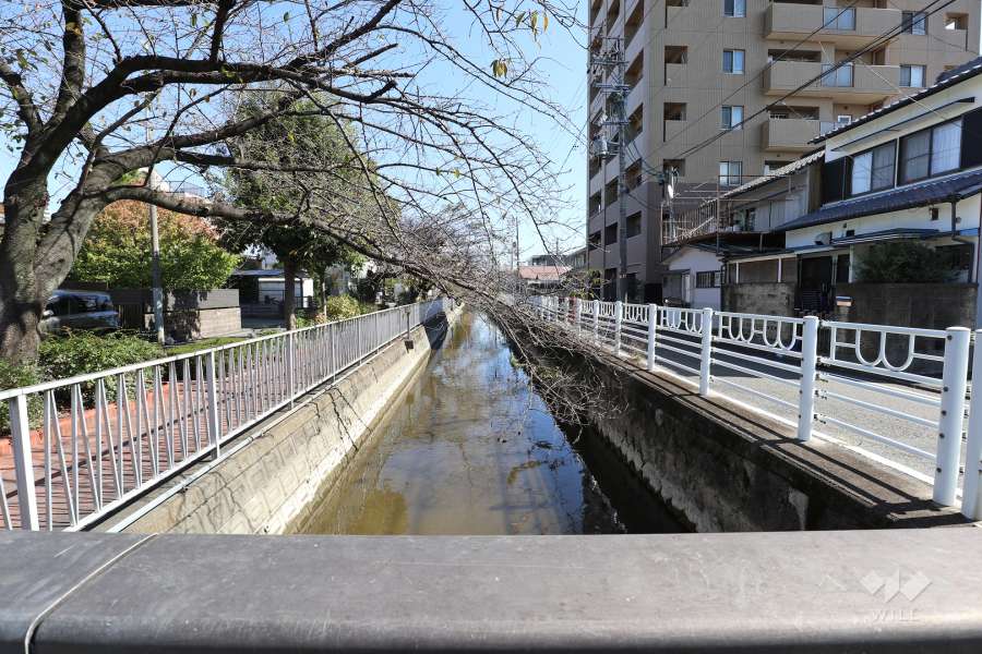 敷地北側の前面道路