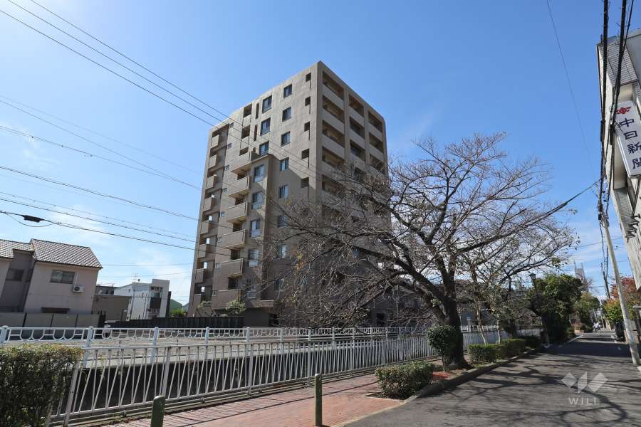 ヒルズ庄内通の外観（北東側から）