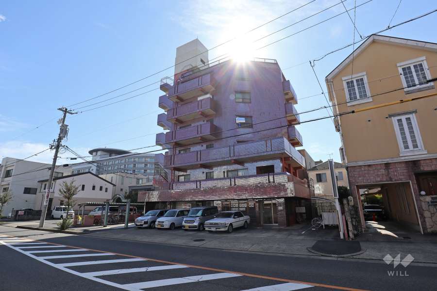 ロイヤル又穂の外観（北西側から）