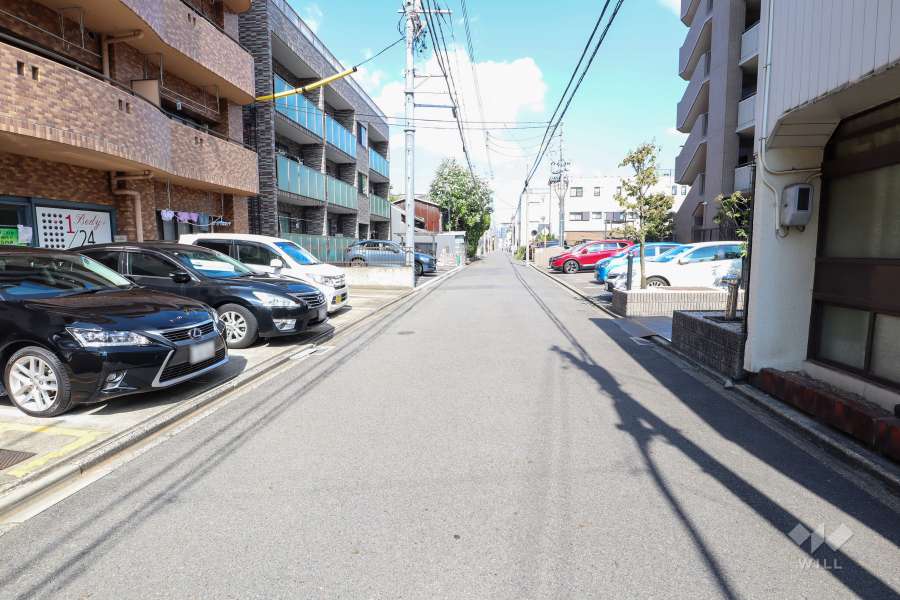 敷地北側の前面道路（西側から）