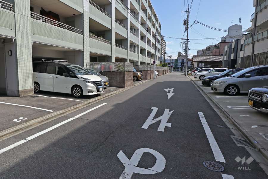 敷地南側の前面道路（西側から）