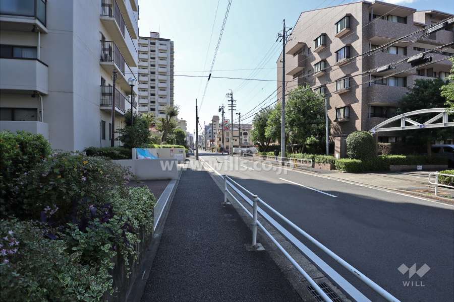 敷地東側の前面道路（北側から）