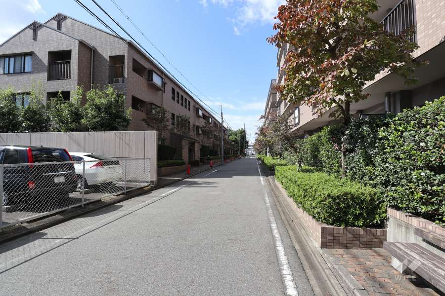 敷地北側の前面道路（笹塚町線第3号）