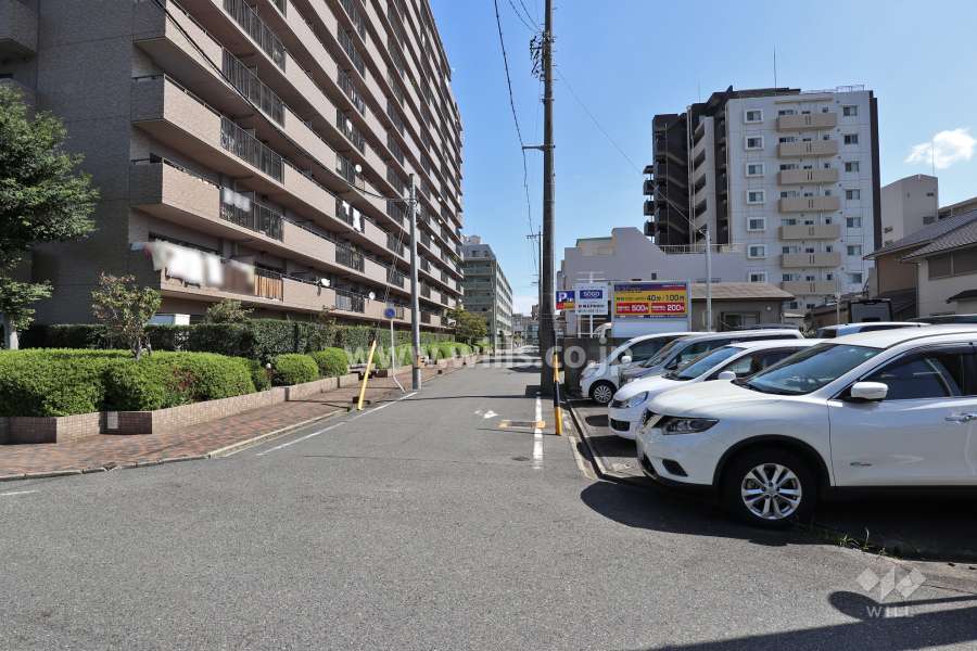 敷地南側の前面道路（西側から）
