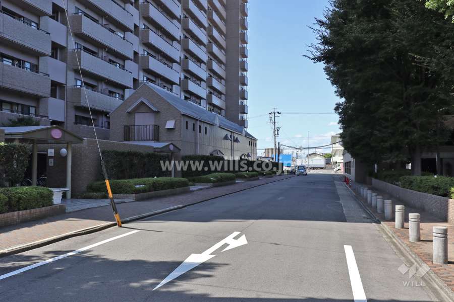 敷地北側の前面道路（東側から）