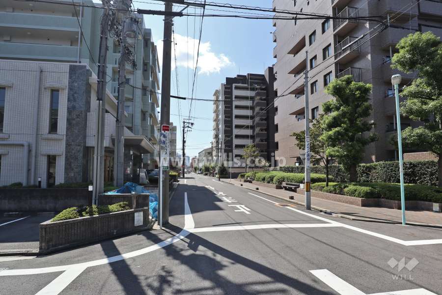 敷地東側の前面道路（北側から）