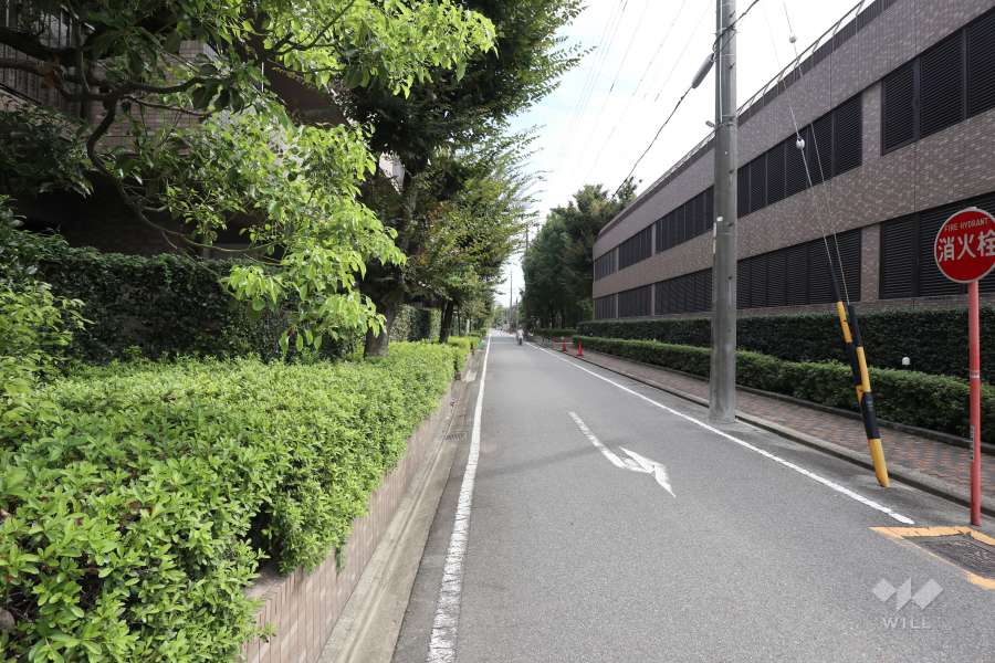 敷地南側の前面道路（西側から）