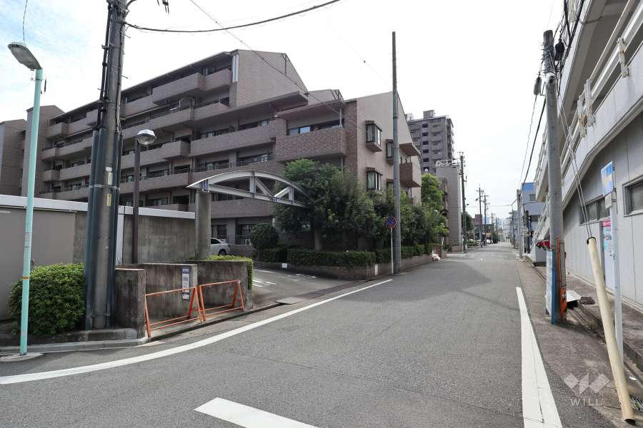 敷地西側の前面道路（北側から）