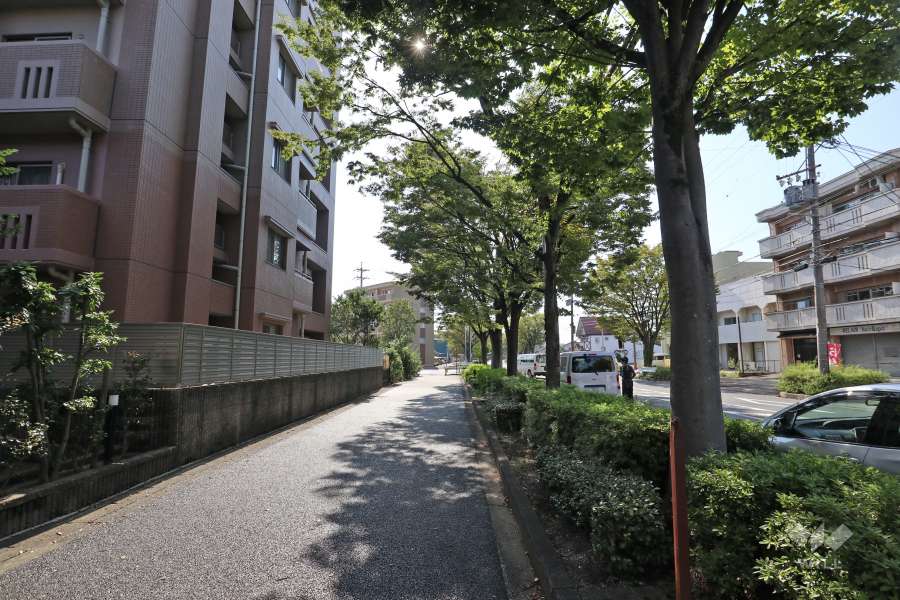 敷地北西の側前面道路（北東側から）