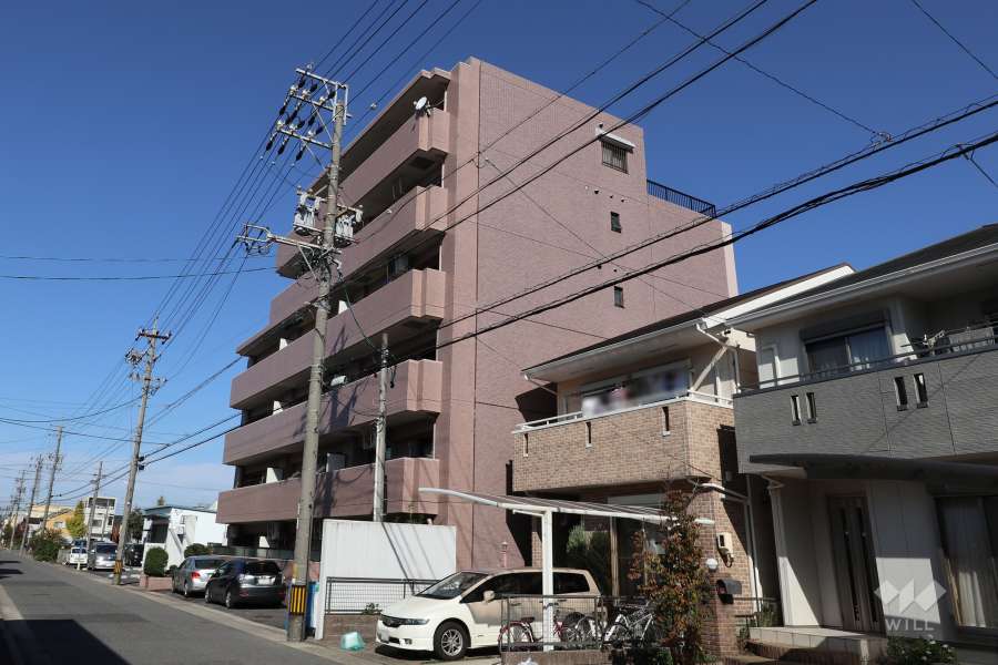 アーバンドリーム庄内緑地公園の外観（南側から）