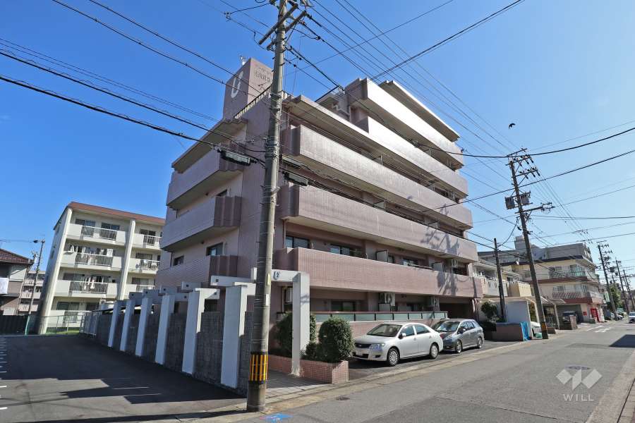 アーバンドリーム庄内緑地公園の外観（西側から）