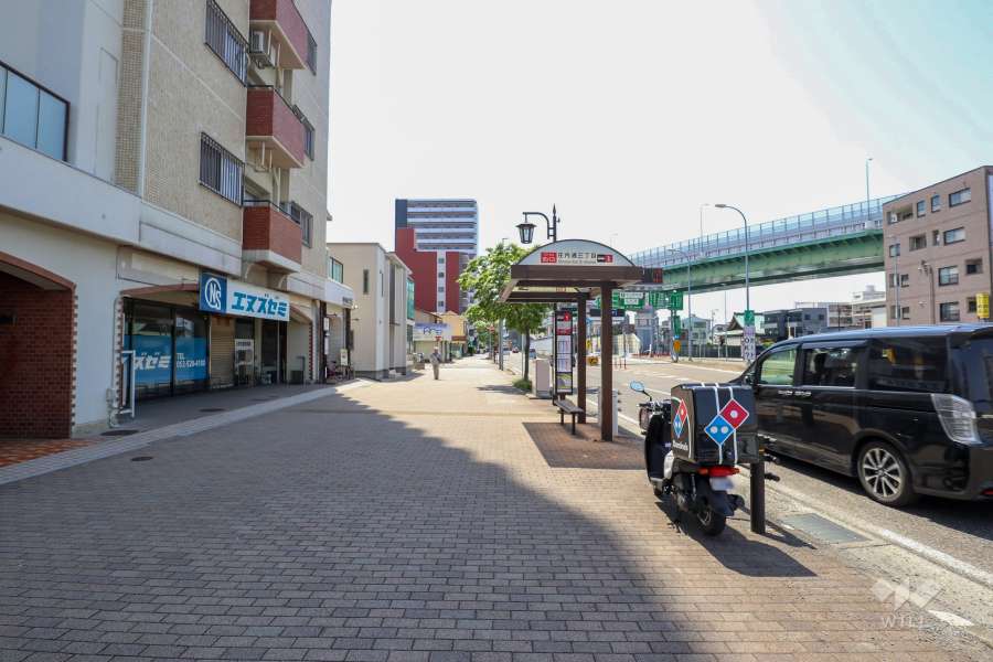 敷地西側の前面道路（北側から）