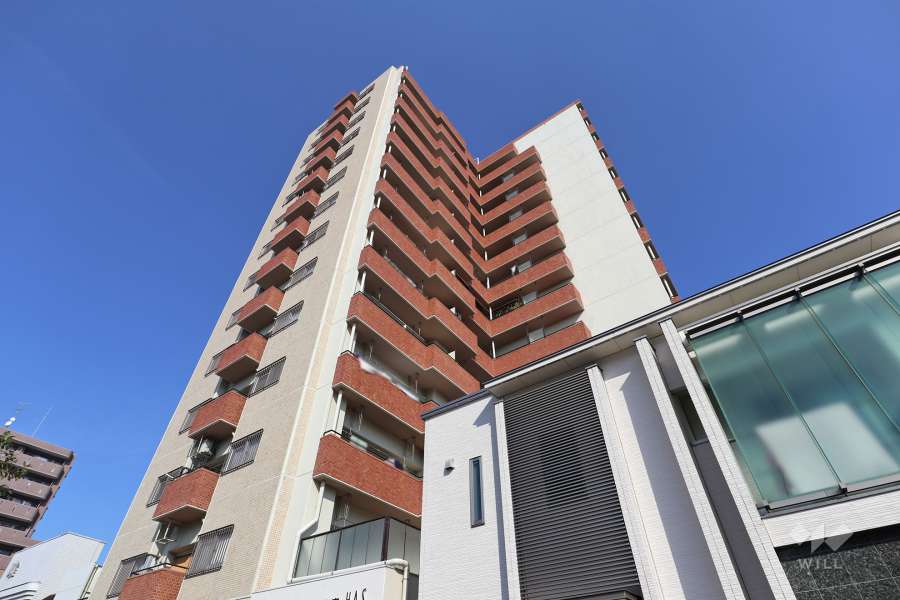 星和庄内コーポラスA棟の外観（南西側から）