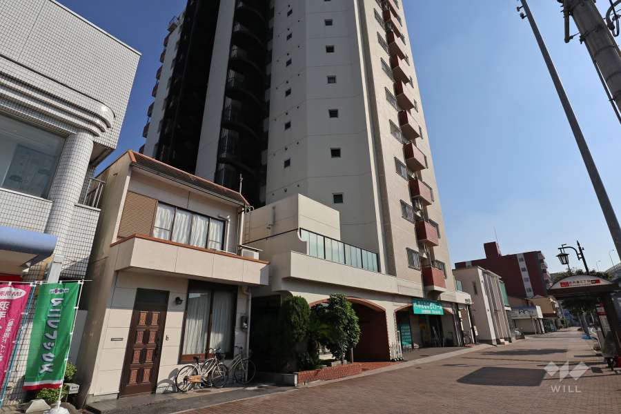 星和庄内コーポラスA棟の外観（北西側から）