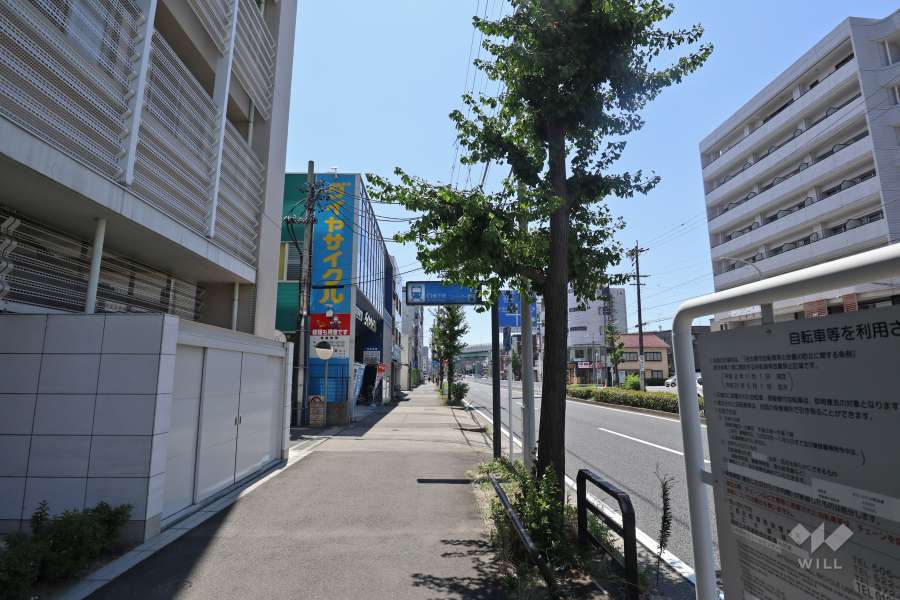 敷地西側の前面道路（北側から）