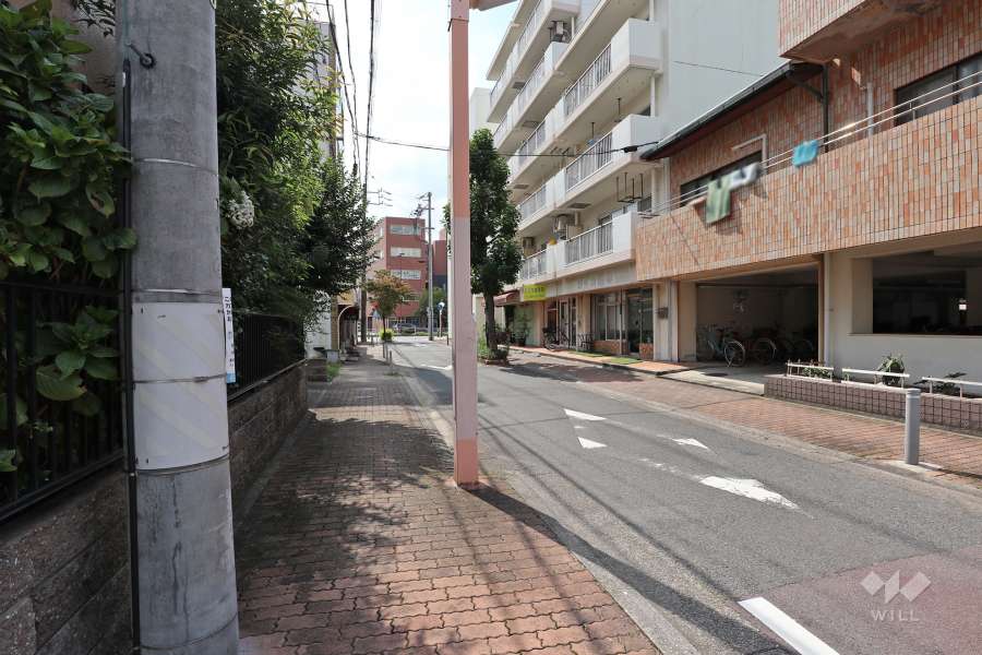 敷地東側の前面道路