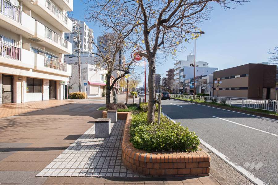 敷地南側の前面道路（西側から）