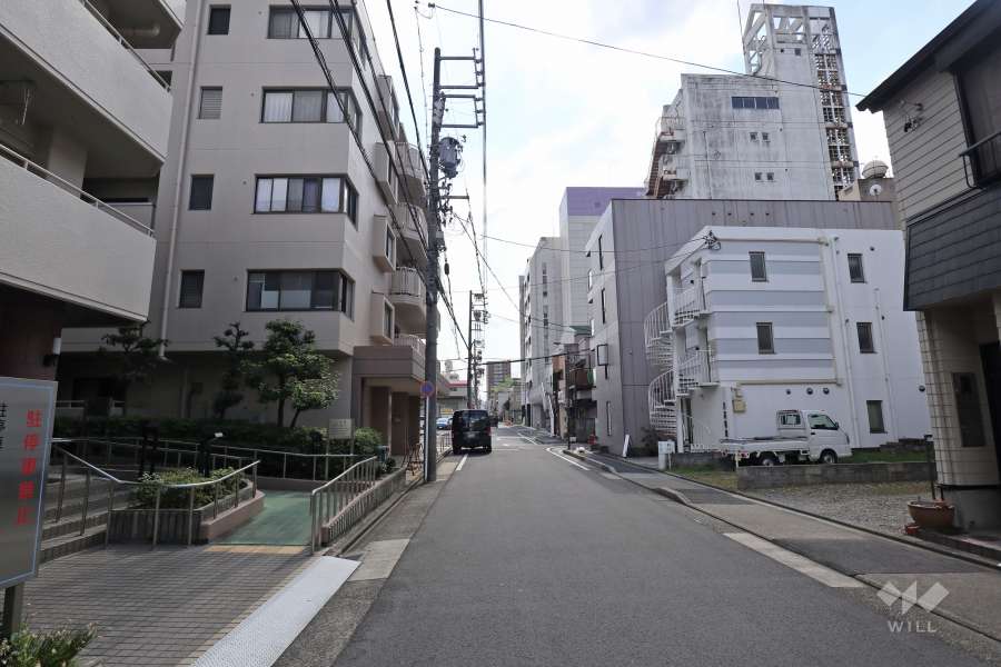 敷地西側の前面道路(北側から)