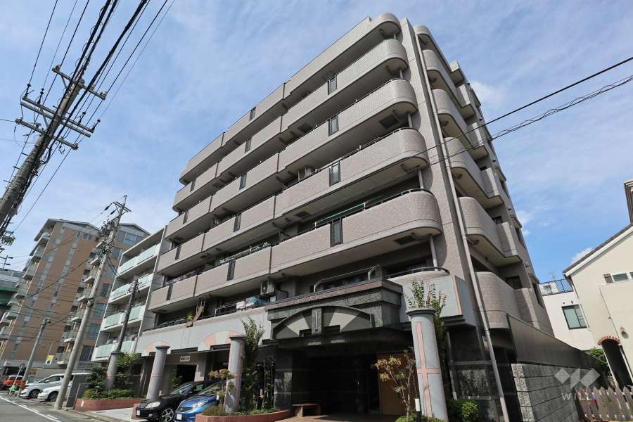 ダイアパレス浄心の外観（南東側から）