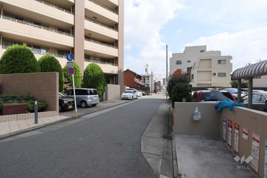 敷地南側の前面道路（西側から）