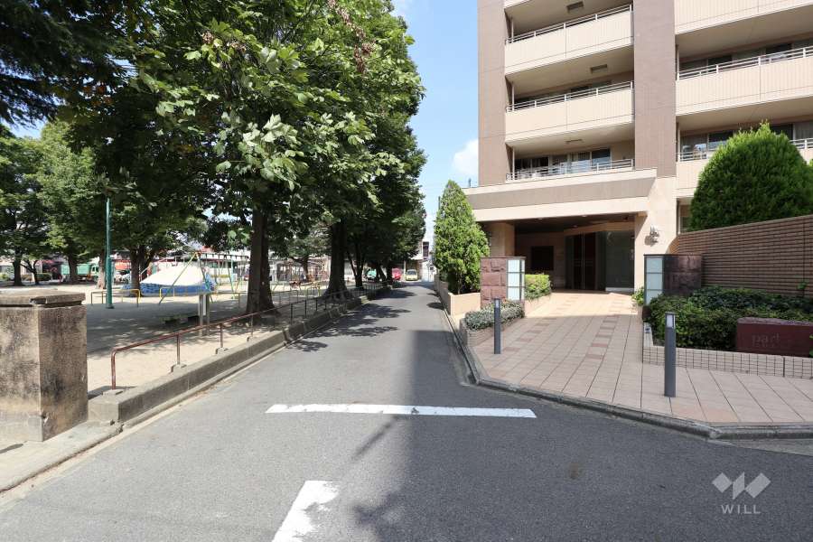 敷地西側の前面道路（南側から）