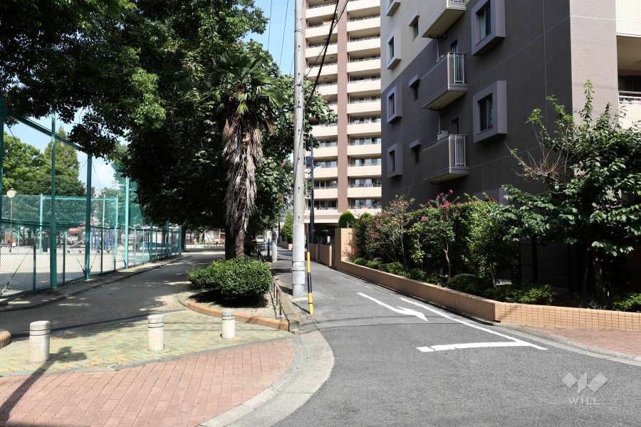 敷地西側の前面道路（南側から）