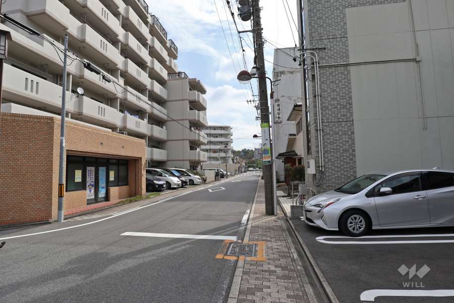 敷地南側の前面道路（西側から）