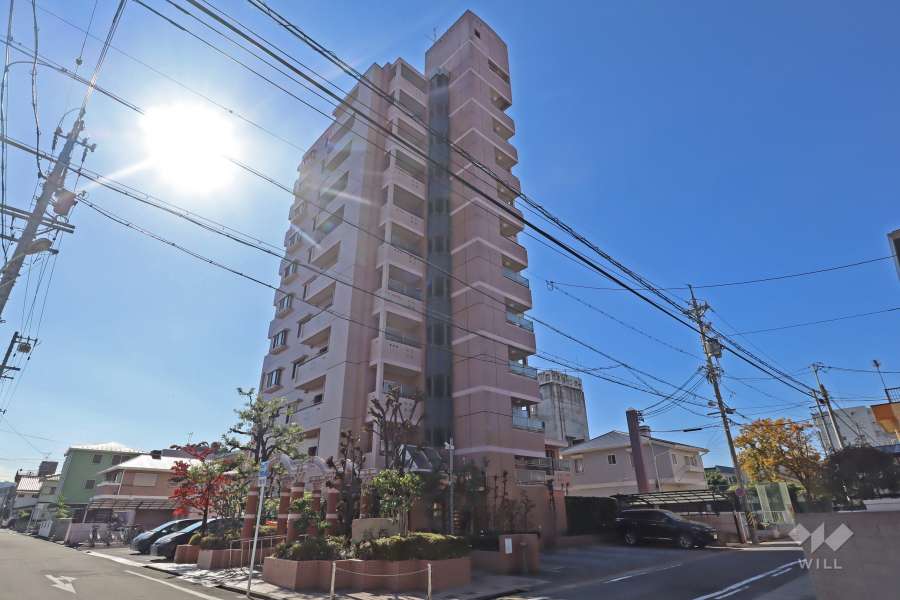 グランドメゾン城西の外観（北東側から）
