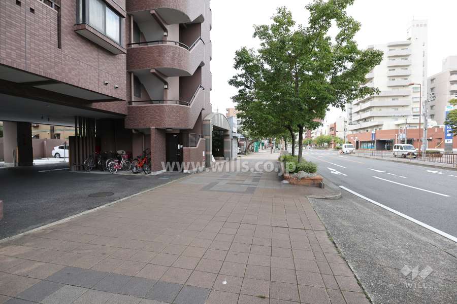 敷地北側の前面道路