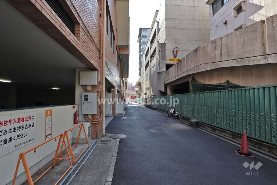 敷地西側の前面道路（北側から）