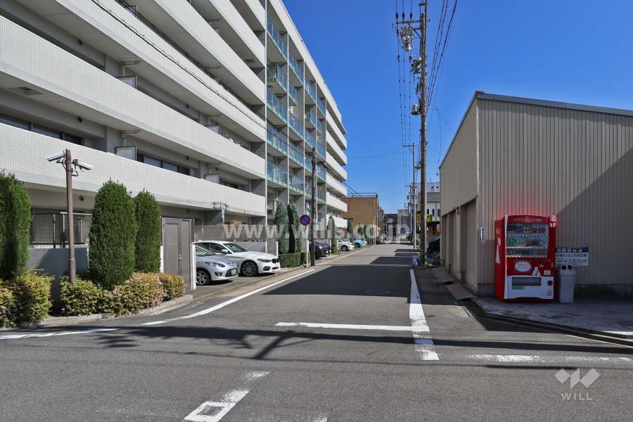 敷地南側の前面道路（西側から）