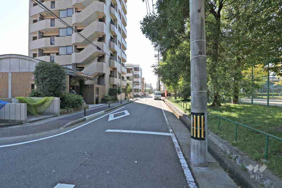 敷地西側の前面道路（北側から）