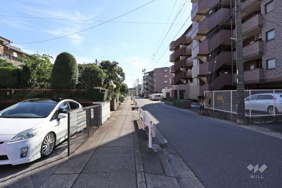 敷地北側の前面道路
