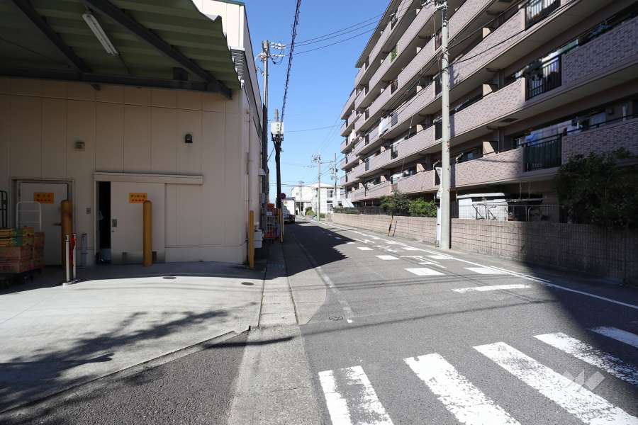 敷地南側の前面道路