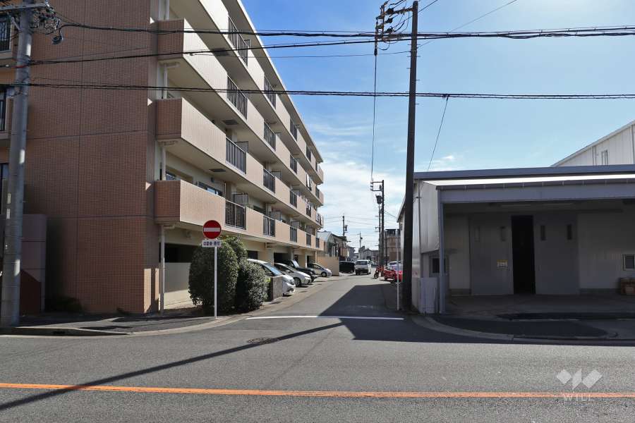 敷地南西側の前面道路（北西側から）