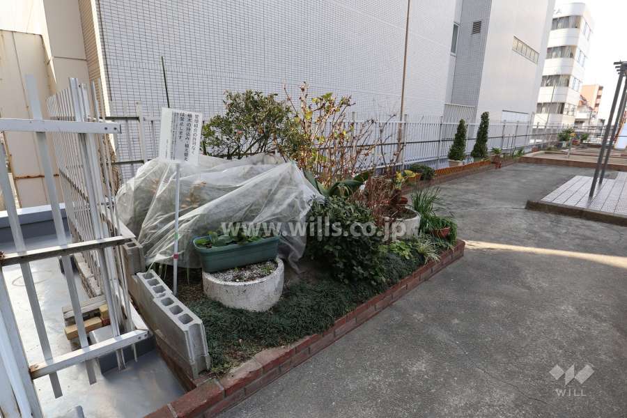 共用部分にある花壇