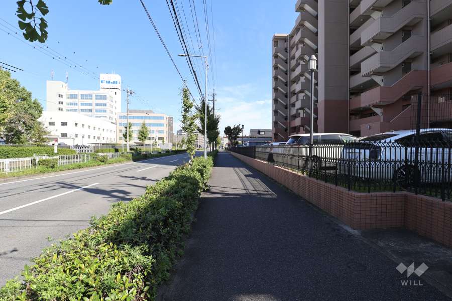 敷地西側の前面道路