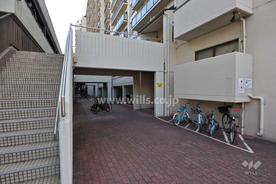 敷地内北側の通路