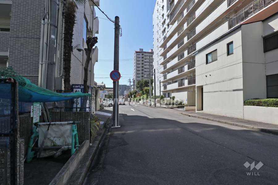 敷地東側の前面道路(北側から)