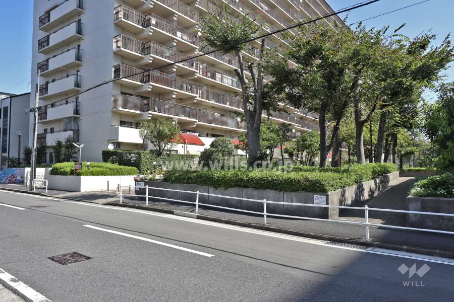 敷地入り口（西側）